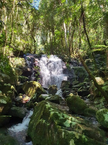 Coomera Circuit - Aussie Bushwalking