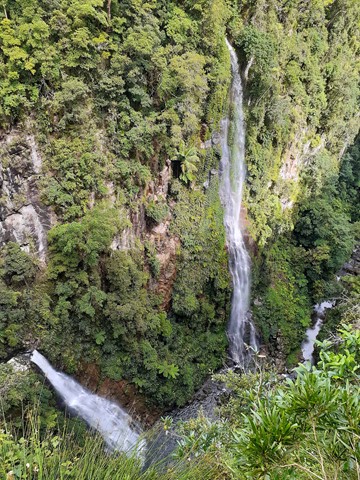 Coomera circuit, Lamington National Park, Parks and forests