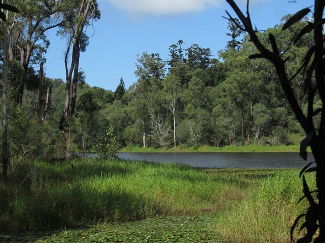 Araucaria Track, Queensland, Australia - 522 Reviews, Map