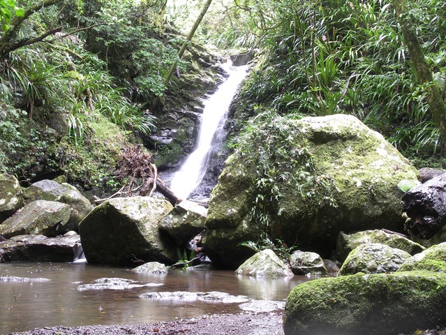 Coomera Circuit - Aussie Bushwalking