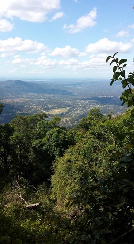 Ficheiro:View to steep forested mountain area on Mt Manucoco