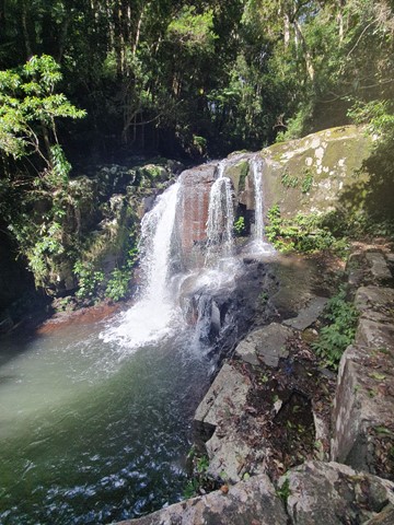 Hiking the Coomera Circuit, Lamington National Park - Free Two Roam