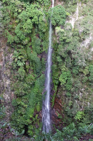 Coomera circuit, Lamington National Park, Parks and forests