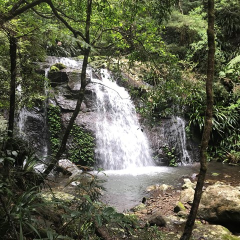 Coomera Falls Hiking the World